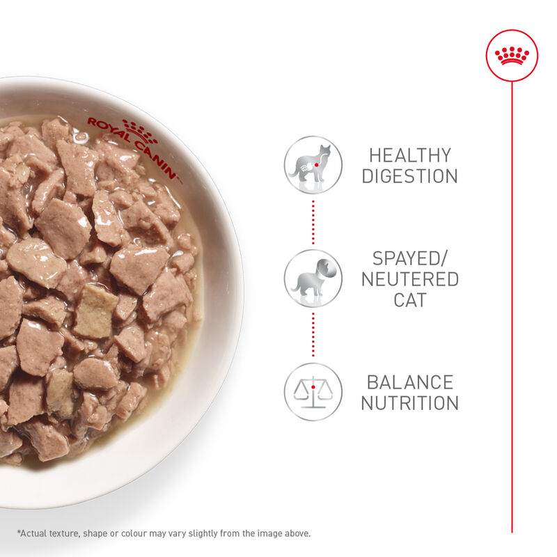 Royal Canin, Feline Health Nutrition Indoor Adult Morsels in Gravy - 85 g - Wet Cat Food image number null