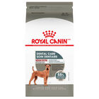 Royal Canin, Canine Care Nutrition Dental Care Adult Medium - Dry Dog Food image number null