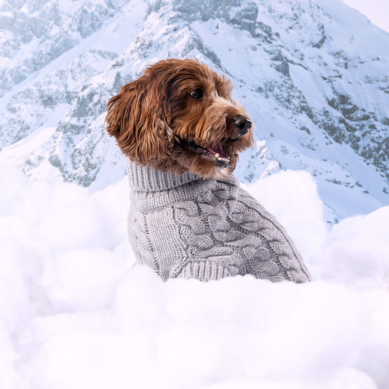 GF Pet, Chalet Sweater - Grey Mix image number null