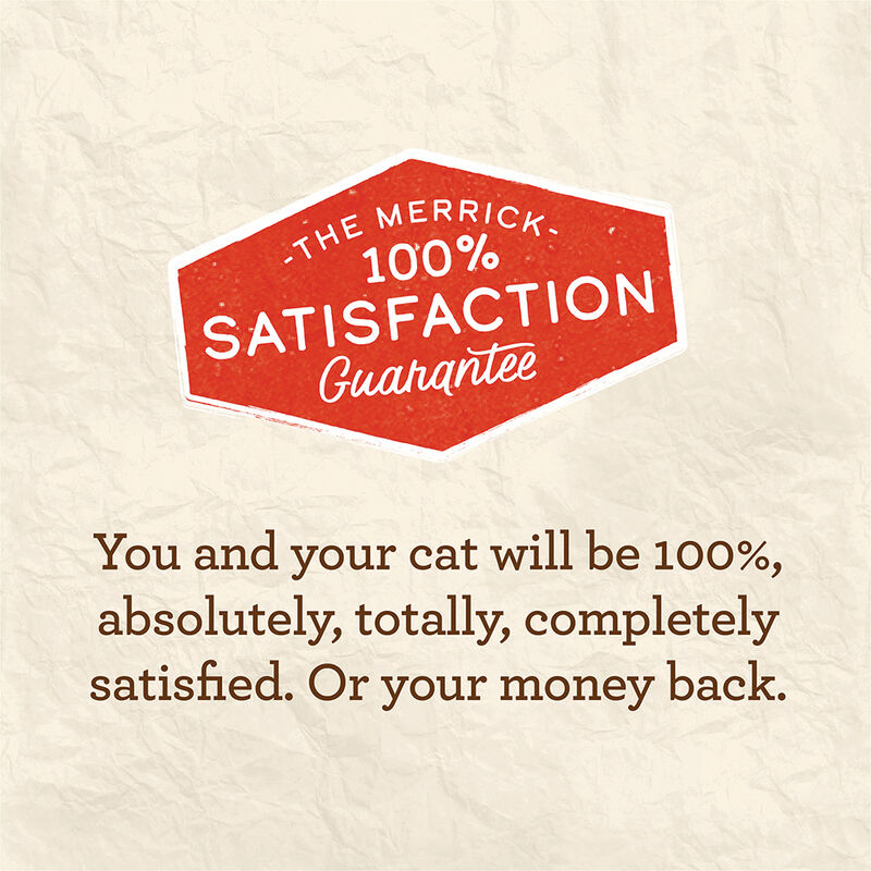Merrick, Cat LID Real Turkey Recipe 5 oz - Wet Cat Food image number null