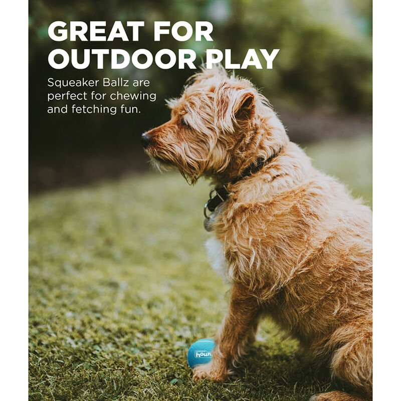 Outward Hound, Squeaker Ballz - 8 pk - X-Small image number null