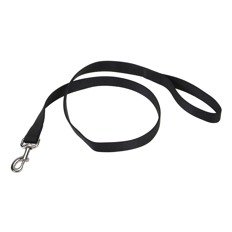 Single-Ply Dog Leash, Black, X-Small - 3/8" x 6' image number null