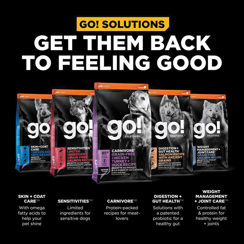 GO! SOLUTIONS CARNIVORE Grain Free Chicken, Turkey + Duck Senior Recipe for dogs image number null