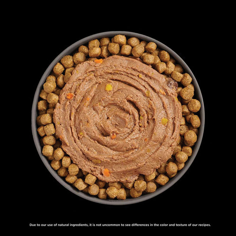 GO! SOLUTIONS,  BOOSTER Immune Health Tuna Pate - 71 g - Wet Cat Food image number null
