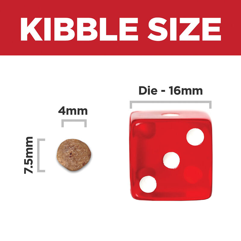 Science Diet, Adult 11+ Small Paws Chicken Meal, Barley & Brown Rice Recipe Dry Dog Food - Dry Dog F image number null