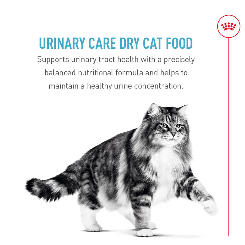 Royal Canin, Feline Care Nutrition - Urinary Care - Dry Cat Food image number null