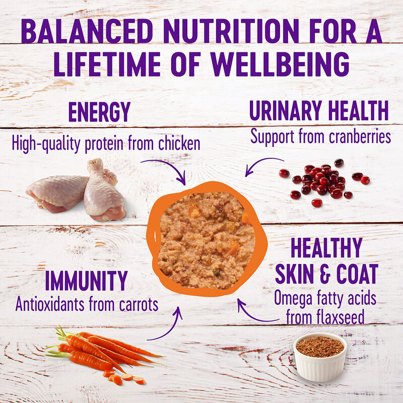 Wellness, Canned Cat Food, Complete Health, Chicken - Wet Cat Food image number null