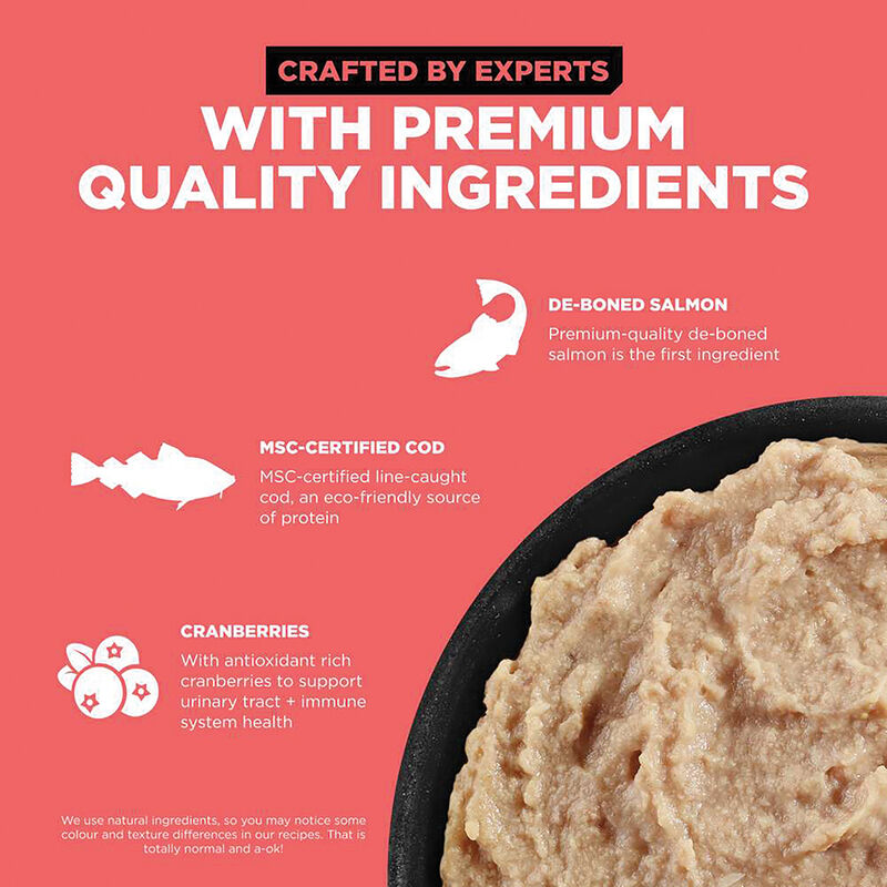 GO! SOLUTIONS, CARNIVORE Grain Free Salmon + Cod PÃ¢tÃ© for cats - Wet Cat Food image number null