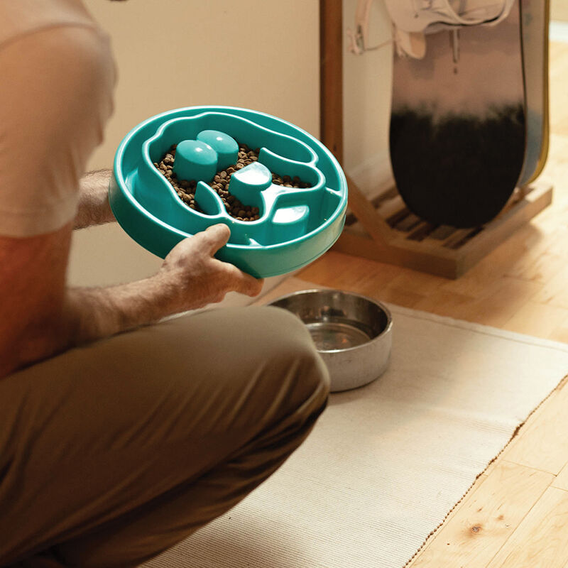 BeOneBreed, Slow Feeder - Turquoise - Large - Dog Auto Feeder image number null