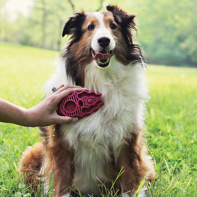 KONG, ZoomGroom - BoysenBerry - Grooming Brushes & Slickers image number null