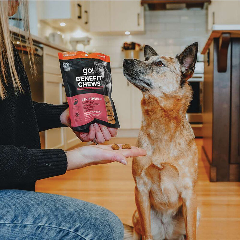 Go! Solutions,Benefit Chews - Sensitivities Limited Ingredient Salmon Dog Treats - 170 g image number null