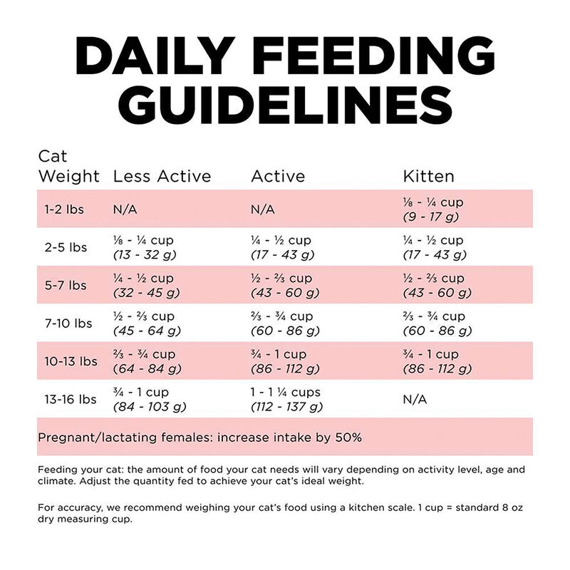 GO! SOLUTIONS CARNIVORE Grain Free Salmon + Cod Recipe for cats image number null