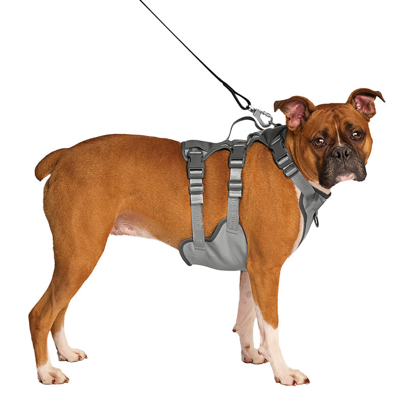 Canada Pooch, Max Chill Cooling Harness Grey image number null