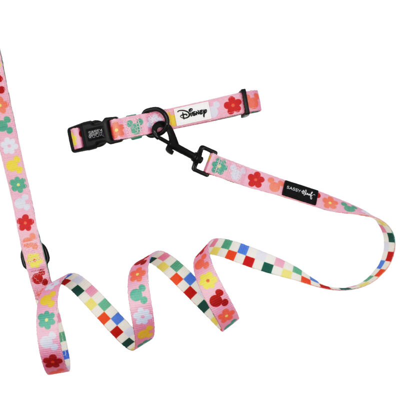 Sassy Woof, Minnie Mickey Collar and Leash Set for Dogs - Small image number null