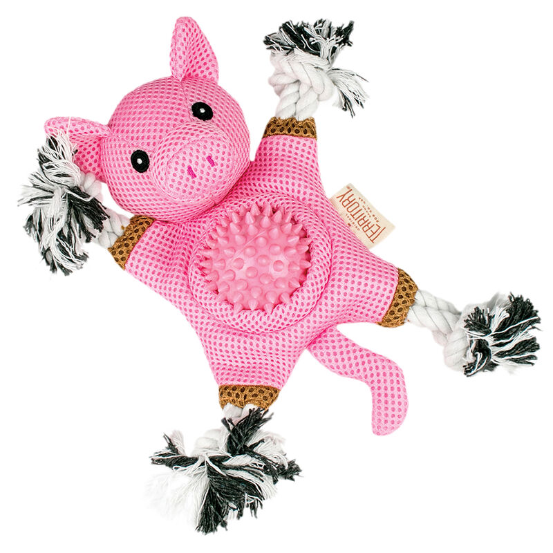 Territory, Farm & Friend 2-in-1 Toy, Pig image number null