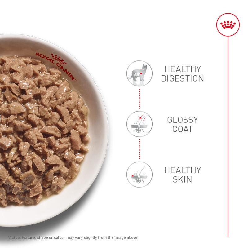 Royal Canin, Feline Care Nutrition Hair & Skin Care Thin Slices In Gravy - Wet Cat Food image number null