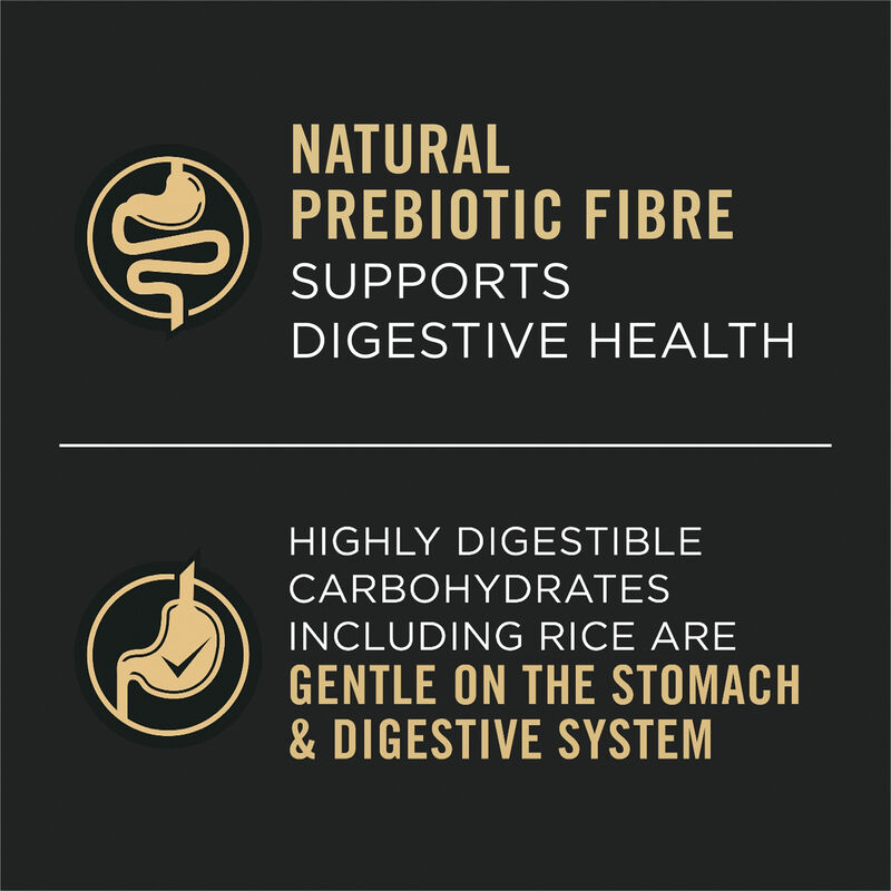 Pro Plan, Adult Sensitive Skin & Stomach - Salomn & Rice - 385 g - Wet Dog Food image number null