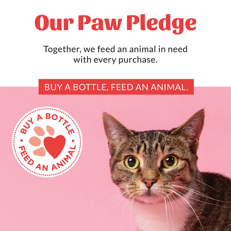 Skouts Honor, Probiotic Ear Cleaner for Cats - 4 oz image number null