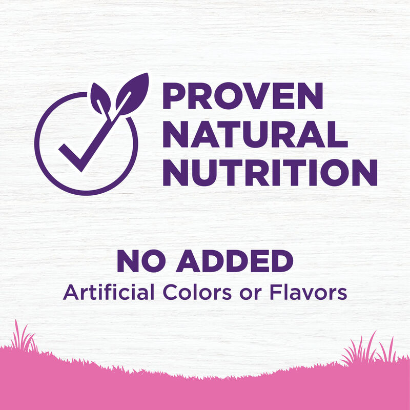 Wellness, Dog Toy Breed Adult - Dry Dog Food image number null