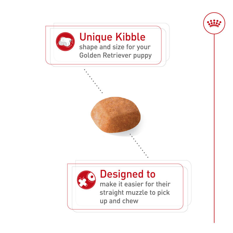 Royal Canin, Breed Health Nutrition Golden Retriever Puppy - Dry Dog Food image number null