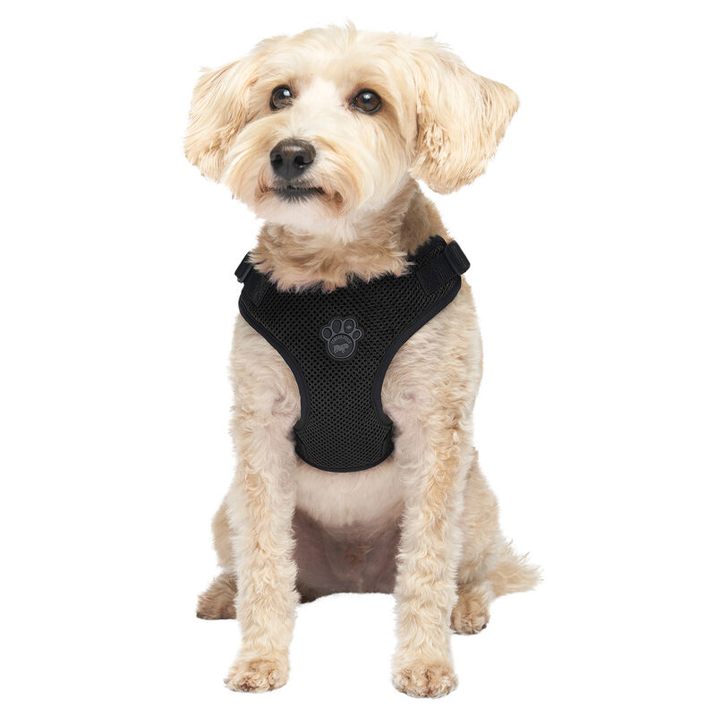 Canada Pooch, Easy-On Step-In Harness Black image number null
