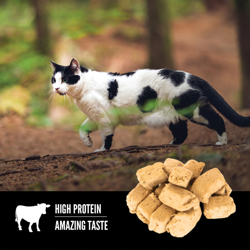 Orijen, Feline, Freeze Dried Treat - Regional Red - 35 g - Freeze Dried Cat Treat image number null