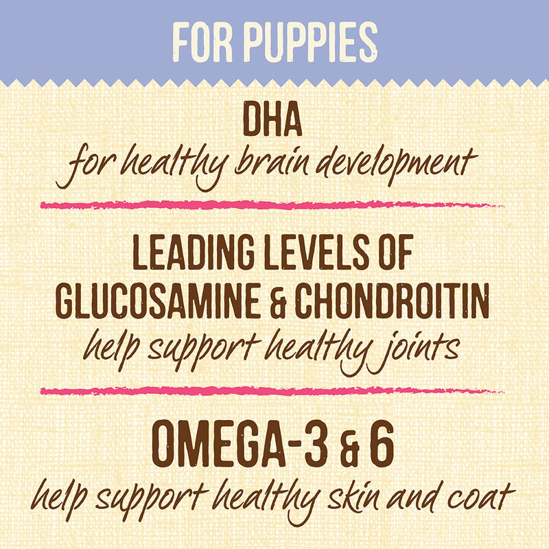Merrick, Lil'Plates GF Puppy Real Chicken + Sweet Potato - Dry Dog Food image number null