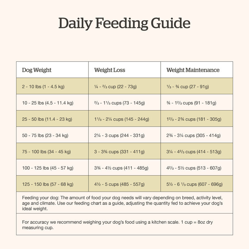 Good Gravy - Beef Coated in Bone Broth - Senior Dry Dog Food image number null