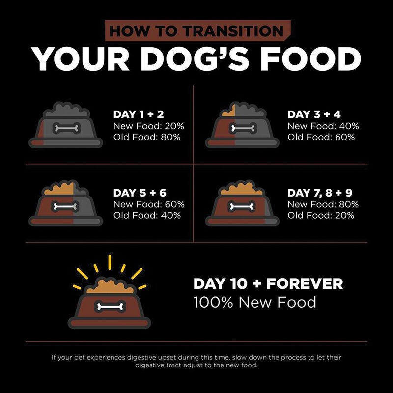 GO! SOLUTIONS, Puppy LB - Skin & Coat w/ Grains - Salmon - Dry Dog Food image number null