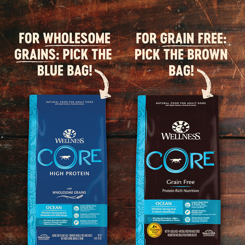 Wellness, Core, Grain Free Ocean - Dry Dog Food image number null