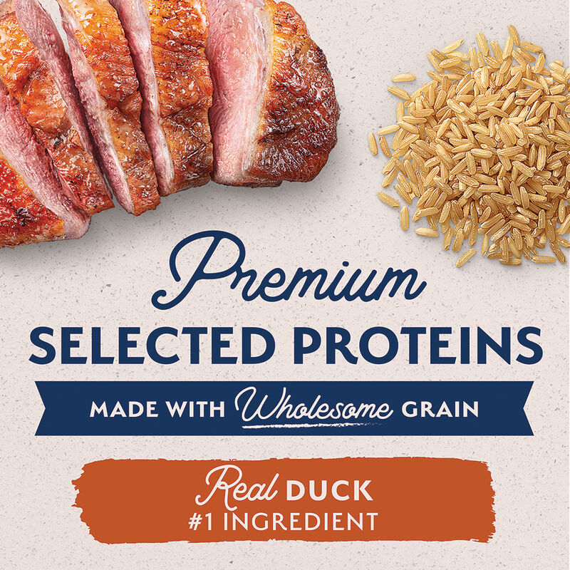 Natural Balance, Can, Adult - LID - Reserve Duck & Brown Rice - 368 g - Wet Dog Food image number null