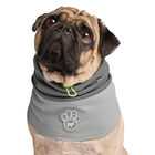 Canada Pooch, Max Chill Cooling Snood Grey image number null