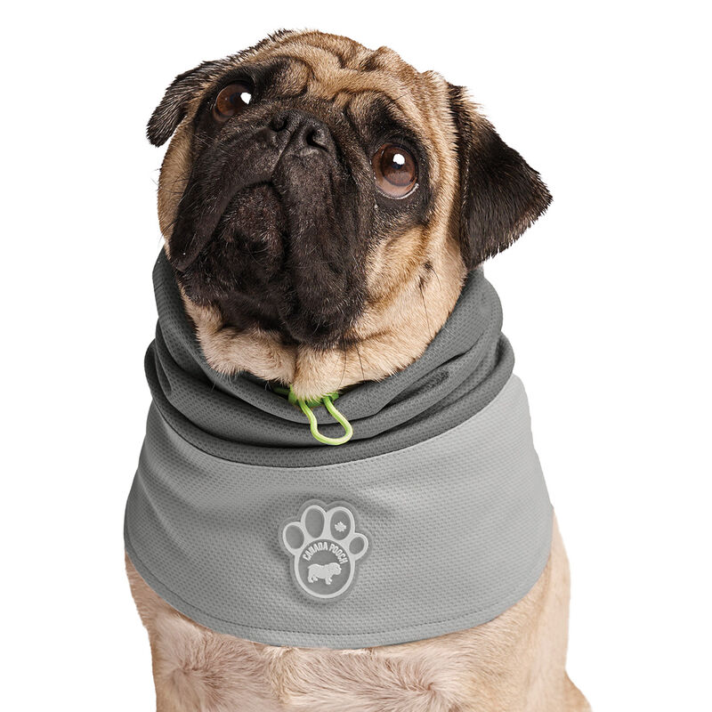 Canada Pooch, Max Chill Cooling Snood Grey image number null