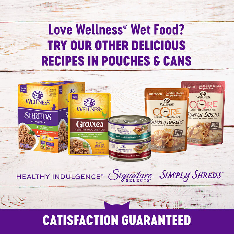 Wellness, Canned Cat Food, Complete Health, Kitten - 3 oz - Wet Cat Food image number null