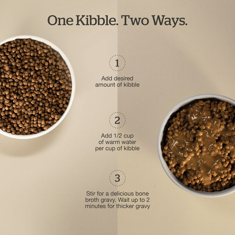 Good Gravy - Salmon Coated in Bone Broth - Dry Cat Food image number null