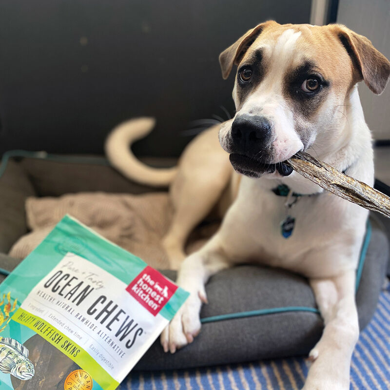 The Honest Kitchen, Ocean Chews -  Wolffish Skins - Dog Rawhide & Natural Chews image number null