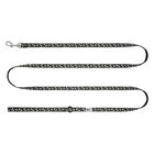 RC Pets, Petite Leash - Daisies - 1/2" x 6' image number null
