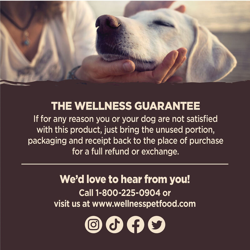 Wellness, Core - Tiny Tasters GF Treats - Lamb & Apple - 170 g - Dog Treat image number null