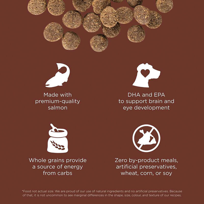 GO! SOLUTIONS, Puppy LB - Skin & Coat w/ Grains - Salmon - Dry Dog Food image number null