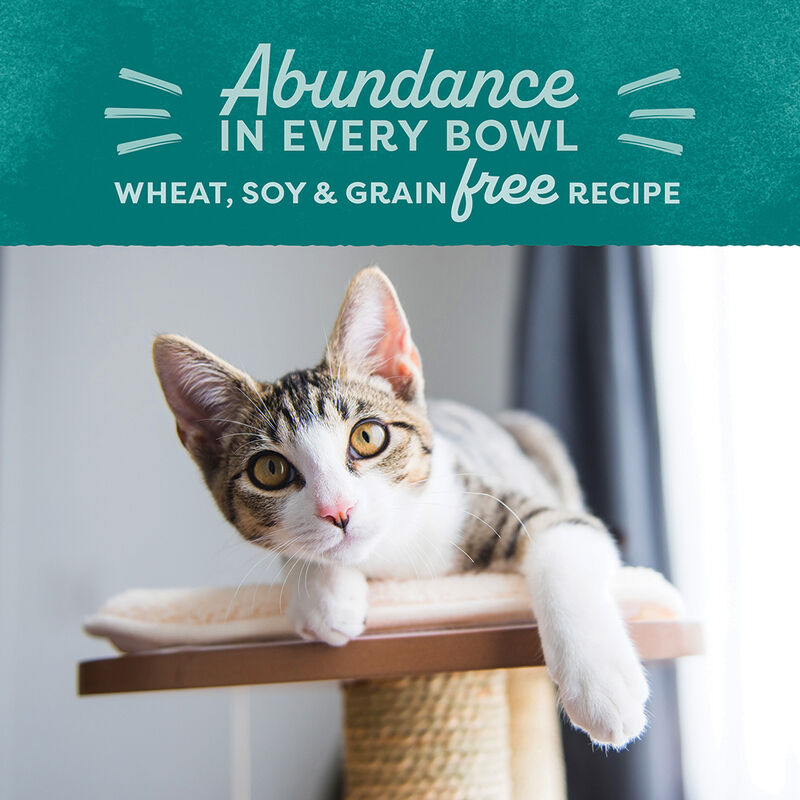 Natural Balance, Feline Adult - Ultra GF - Chicken - 6.8 kg - Dry Cat Food image number null