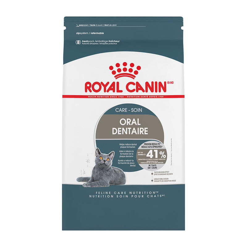 Royal Canin, Feline Care Nutrition - Dental Care - Dry Cat Food image number null