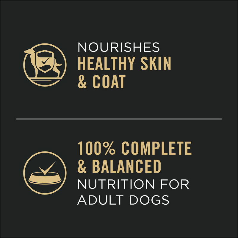 Pro Plan, Adult Complete Essentials - Turkey & Vegetables - 368 g - Wet Dog Food image number null