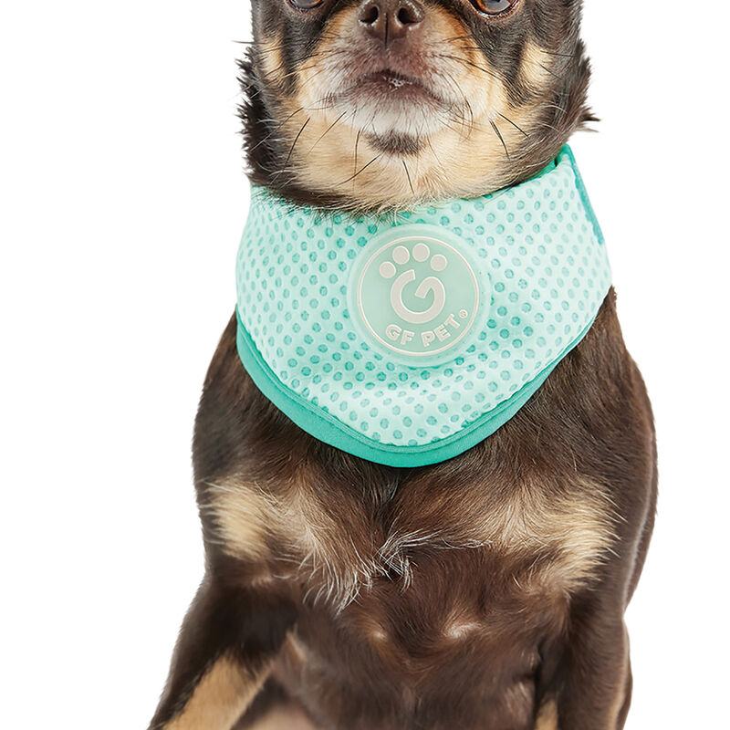 GF Pet, Ice Band Aqua image number null
