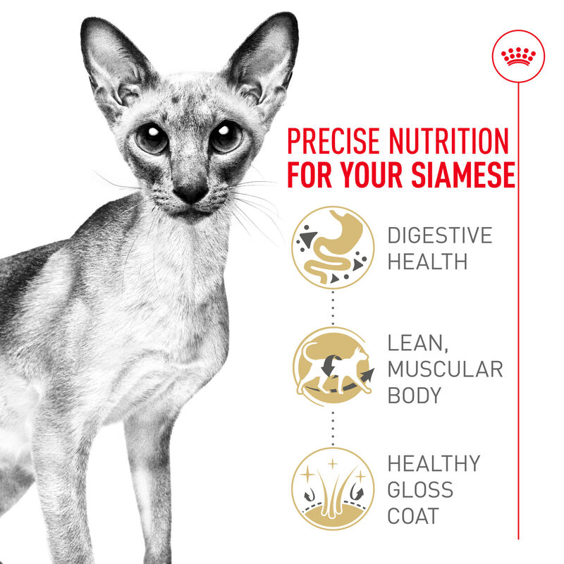 Royal Canin, Feline Breed Nutrition Siamese - Dry Cat Food image number null