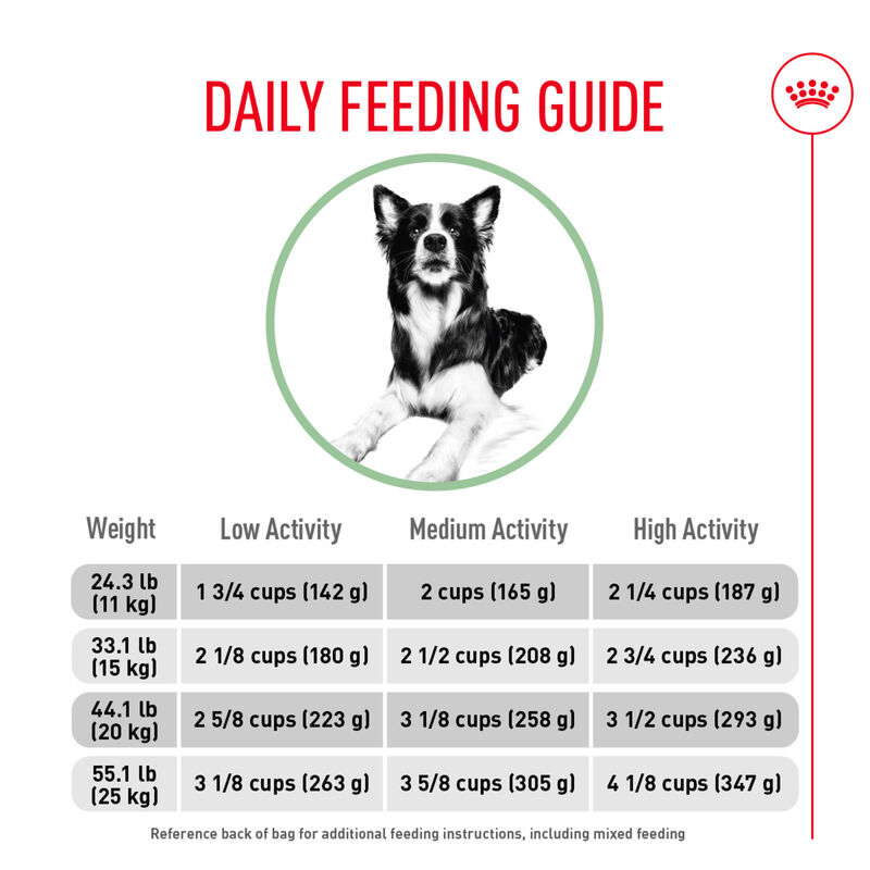 Royal Canin, Size Health Nutrition Medium Digestive Care - Dry Dog Food image number null