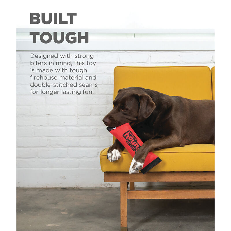 Firehose Squeak 'N Fetch - Red - Medium image number null