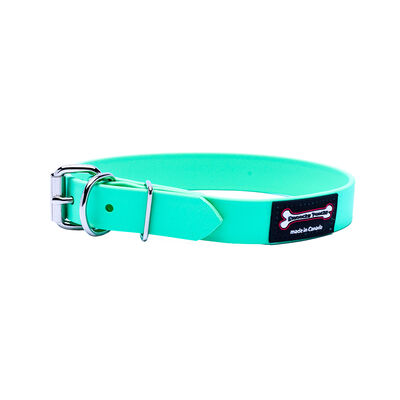Polyvinyl Collar - AquaGreen - 1" Width