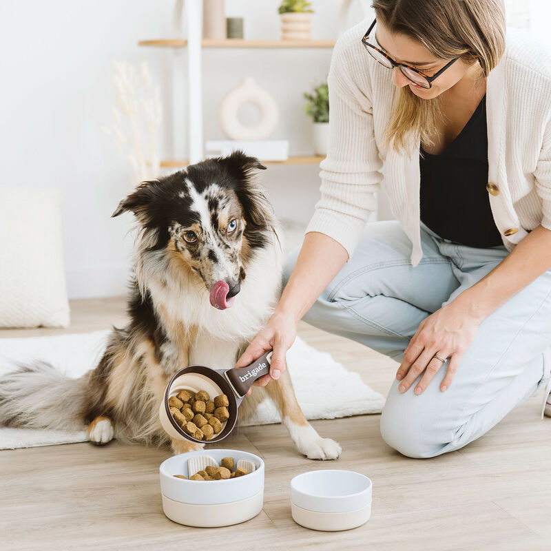 Brigade Collapsible Measuring Scoop image number null