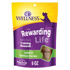 Wellness, Wellbites, Lamb & Salmon Soft Dog Treats - 6 oz - Dog Treat image number null