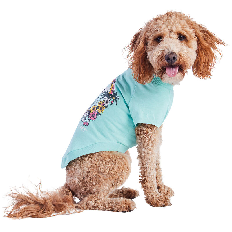 GF Pet, Graphic Tee Heather Aqua image number null